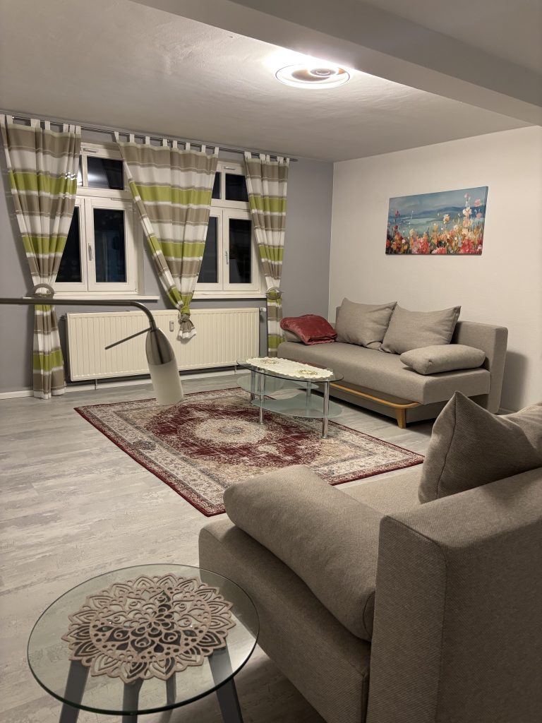 Ferienwohnung Karlstraße Eisenach – großes Wohnzimmer mit zwei Schlafsofas